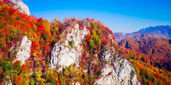 Jesień w Buila Vanturarita, Karpaty, Rumunia. — Zdjęcie stockowe