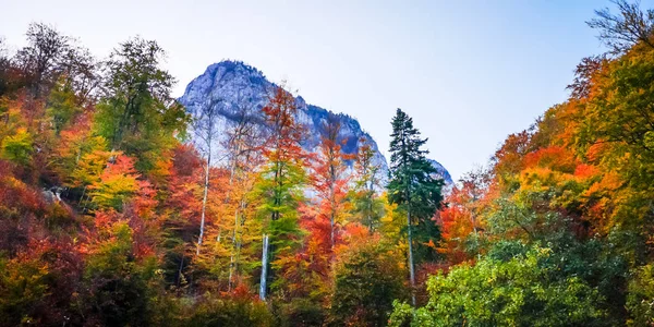 Jesień w Buila Vanturarita, Karpaty, Rumunia. — Zdjęcie stockowe