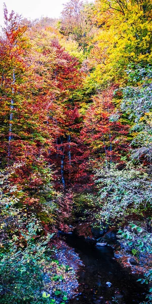 Outono em Buila Vanturarita, Carpathian Mountains, Roménia . — Fotografia de Stock