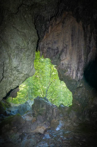 Cascadas Travertinas Transilvania Rumania Cascada Sipote Las Montañas Trascau Apuseni —  Fotos de Stock