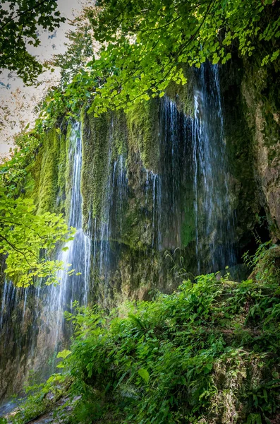 Травертиновые Водопады Трансильвания Румыния Водопад Сипоте Горах Траско Апушенские Карпаты — стоковое фото