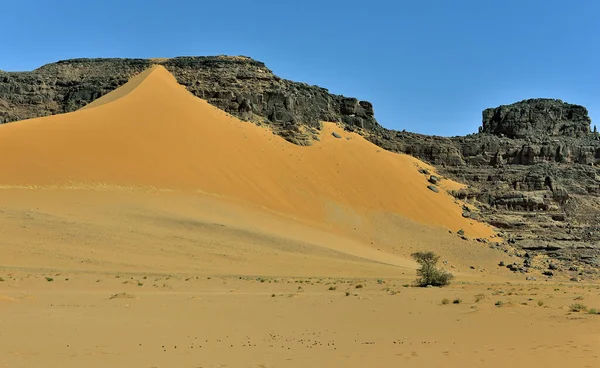Sahara Desert Algeria Tadrart Park Sand Dunes Desert Landscape Rock — Stock Photo, Image