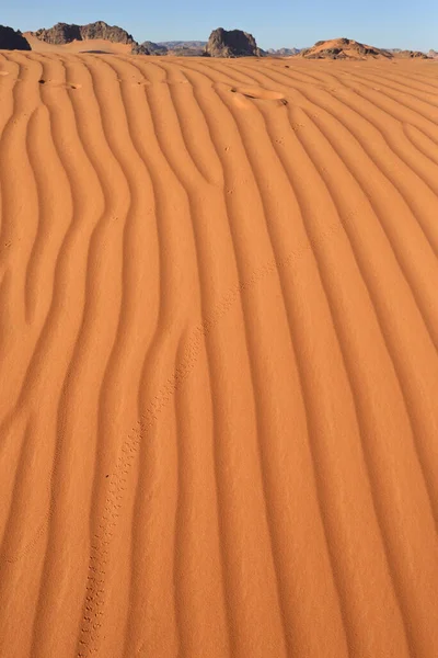 Sahara Desert Algeria Tadrart National Park Sand Dunes Desert Landscape — Stock Photo, Image