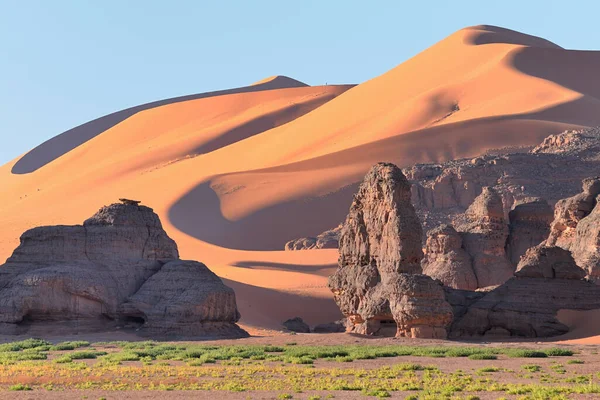 国家公园内Algeria的Sahara Desertsand Dunes Desert Landscape Rock Implications — 图库照片