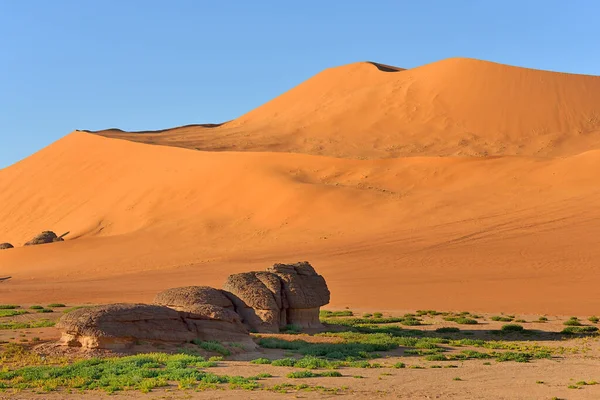 国家公园内Algeria的Sahara Desertsand Dunes Desert Landscape Rock Implications — 图库照片