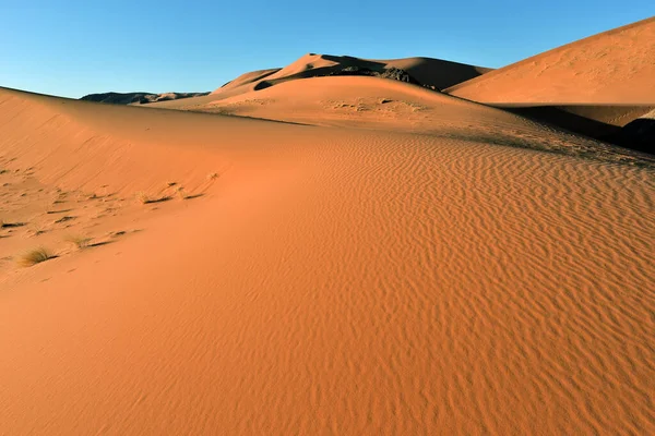 国家公园内Algeria的Sahara Desertsand Dunes Desert Landscape Rock Implications — 图库照片