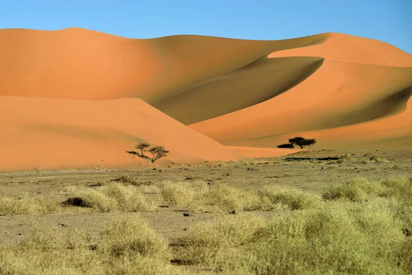萨拉设计在Algeria Rock Implications Sand Dunes Desert Landscape Safari Adventure Algeria — 图库照片