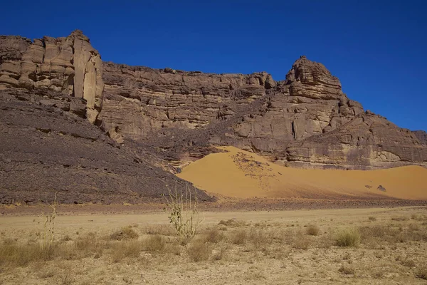 Sahara Desert Algeria 그들은 그리고 파괴적 장벽을 만들었습니다 제리아 Safari — 스톡 사진