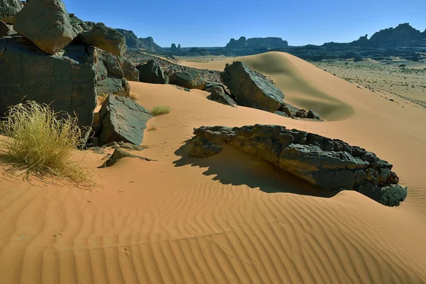 Saharawoestijn Algië Rockformaties Zandkleppen Woestijnachtige Landerijen Safari Toezicht Algerië — Stockfoto