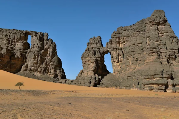 Sahara Desert Algeria 그들은 그리고 파괴적 장벽을 만들었습니다 제리아 Safari — 스톡 사진