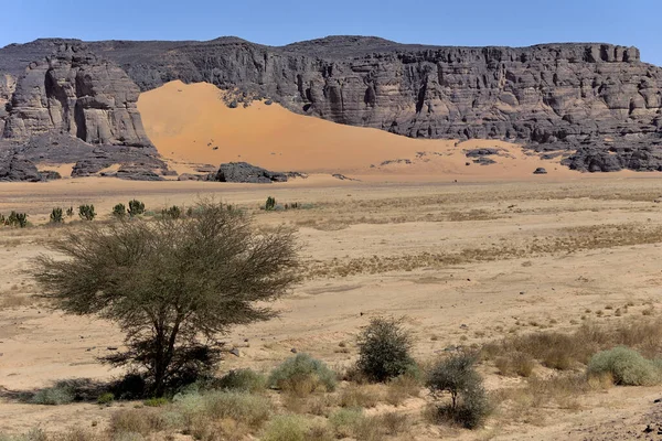 Algerya Sahara Deri Tadrart Ulusal Parkı Kum Bataklıkları Kaya Oluşumları — Stok fotoğraf