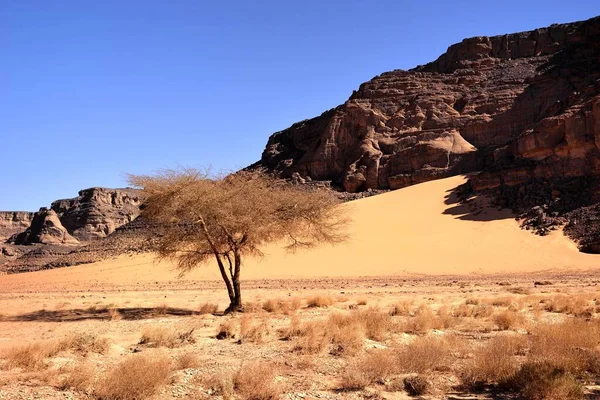 Algerya Sahara Deri Tadrart Ulusal Parkı Kum Bataklıkları Yerleşkesi Kayalık — Stok fotoğraf