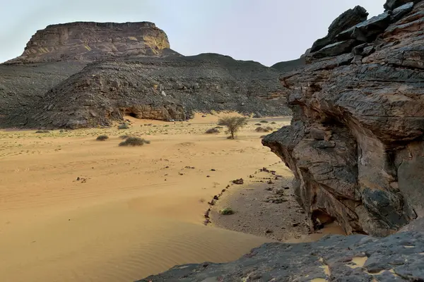 Sahara Deseria Algeria Tadrart National Park Sand Dunes Desert Landscape — 스톡 사진