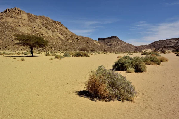 Algerya Sahara Deri Tadrart Ulusal Parkı Kum Bataklıkları Yerleşkesi Kayalık — Stok fotoğraf