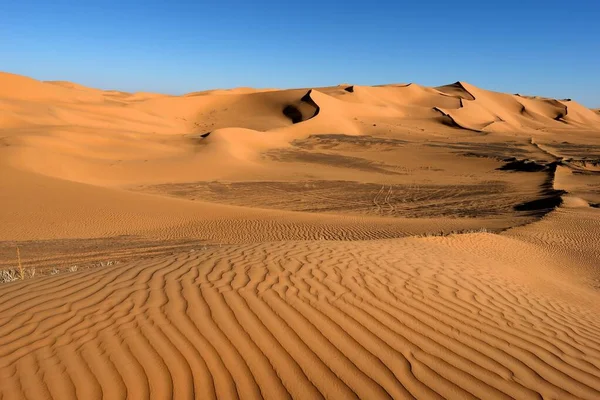 萨拉设计在Algeria Sand Dunes Dunes Desert Landscape — 图库照片