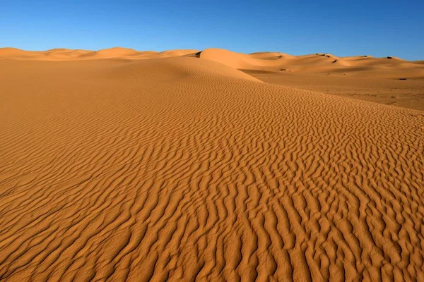 Sahara Desert Algerien Sand Duns Och Desert Landscape — Stockfoto