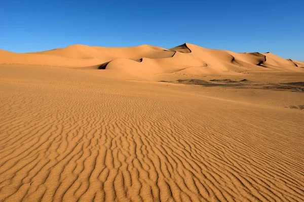 Sahara Desert Algerien Sand Duns Och Desert Landscape — Stockfoto