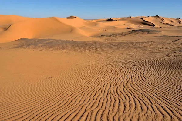 萨拉设计在Algeria Sand Dunes Dunes Desert Landscape — 图库照片