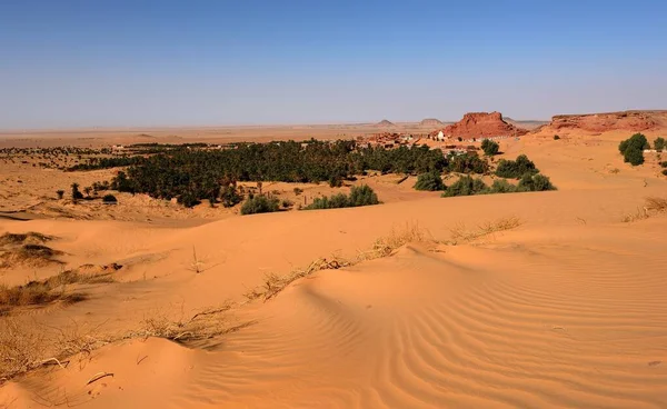 Sahara Desert Algeria Dune Sabbia Paesaggio Del Deserto — Foto Stock
