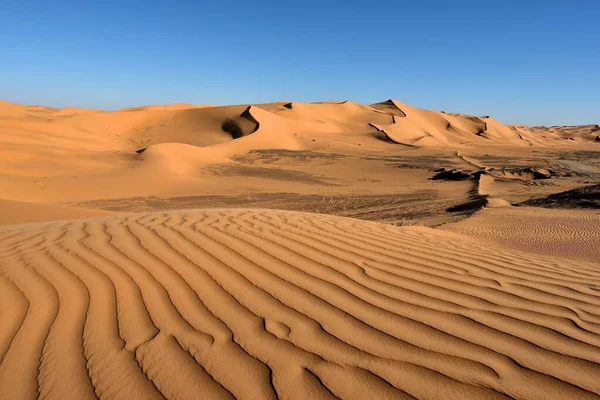 Saharawoestijn Algië Zandkorrels Desert Landscape — Stockfoto