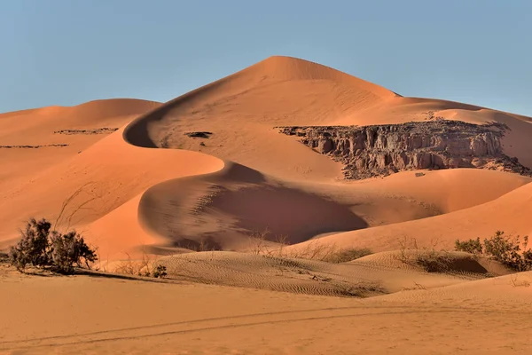 萨拉设计在Algeria Sand Dunes Dunes Desert Landscape — 图库照片