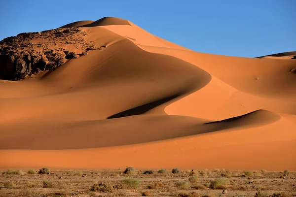 Saharawoestijn Algië Zandkorrels Desert Landscape — Stockfoto