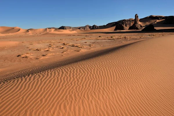 Sahara Desert Algerien Sand Duns Och Desert Landscape — Stockfoto