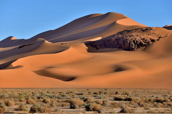 Désert Sahara Algérie Donnees Sable Paysage Desert — Photo