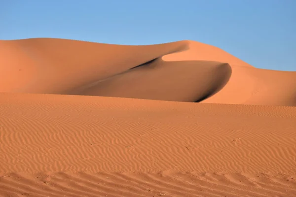 Sahara Desert Algeria Sand Dunes Dan Desert Landscape — Stok Foto