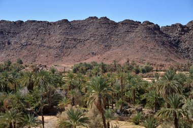 ALGERYA SAHARA 'DA DJANET VAHESİ. 