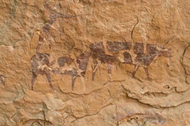 ALGERYA 'DA SAHARA DESERİSİNDE DJANET VASI' NİN İNSANLARI VE GREVİLERİ
