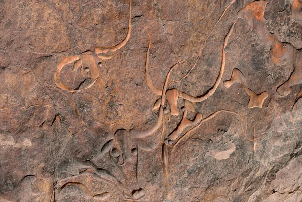 ALGERYA 'DA SAHARA DESERİSİNDE DJANET VASI' NİN İNSANLARI VE GREVİLERİ