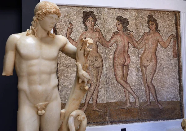 Romaanse Mozaïeken Zijn Gevonden Algië 2De 3De Eeuw Chr — Stockfoto