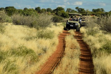 JEEP SAFARI VE NAMIBIA 'DA KALAHARI' DA AVUZ Şöförlüğü