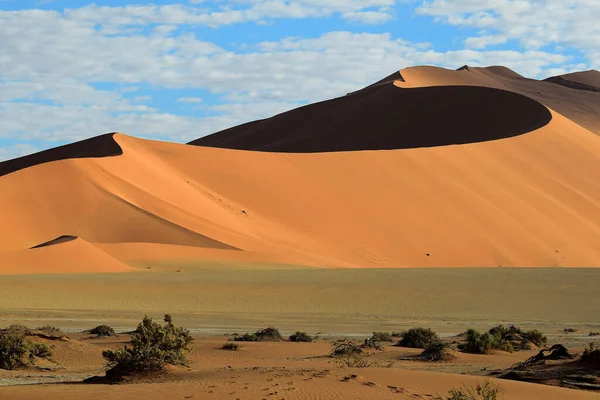 Namib Desert Namibia Met Grote Zand Dunes Desert Landscape — Stockfoto