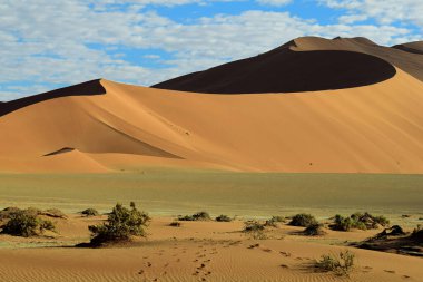NAMIB NAMIBİA 'DA Kum Solucanları ve ÇÖL LANDASI