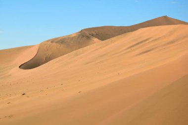 NAMIB NAMIBİA 'DA Kum Solucanları ve ÇÖL LANDASI
