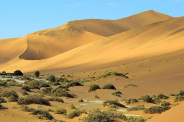 NAMIB NAMIBİA 'DA Kum Solucanları ve ÇÖL LANDASI