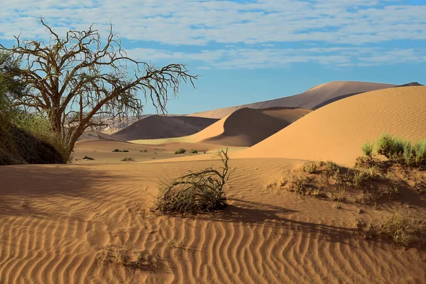 Nazwa Desert Namibii Dużymi Pływami Desert Landscape — Zdjęcie stockowe