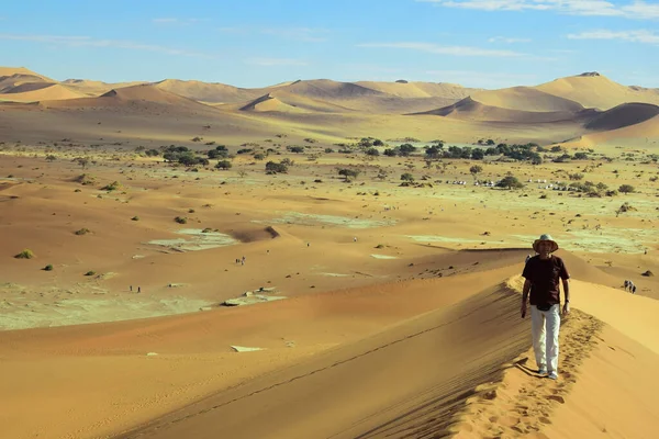 Nazwa Desert Namibii Dużymi Pływami Desert Landscape — Zdjęcie stockowe