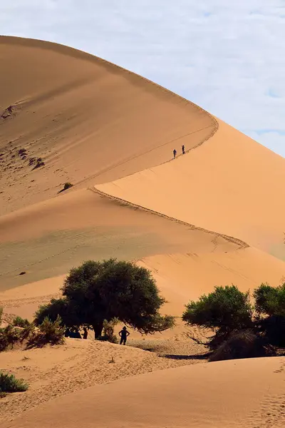 Désert Namib Namibie Avec Grandes Donnees Sable Des Paysages Désert — Photo