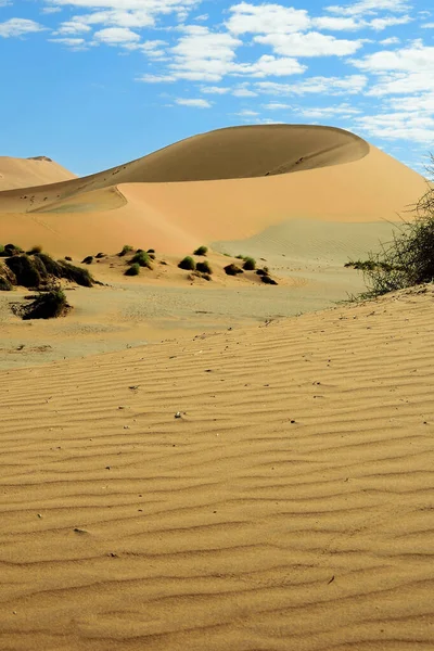 Desert Namib Namibia Con Dunas Arena Grande Paisaje Deserto — Foto de Stock