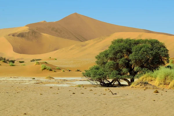 Namib Desert Namibia Met Grote Zand Dunes Desert Landscape — Stockfoto