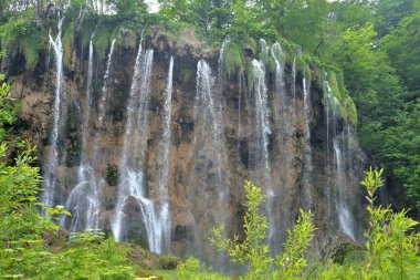 PLITVICE GÖLLLERİ VE SÜRERFALARI KROATIA 'DA ULUSAL PARK' DA.