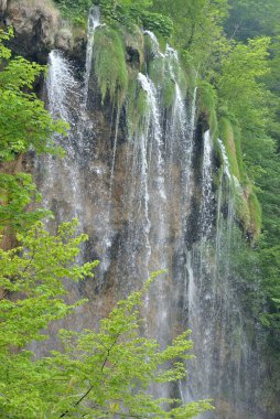 PLITVICE GÖLLLERİ VE SÜRERFALARI KROATIA 'DA ULUSAL PARK' DA.