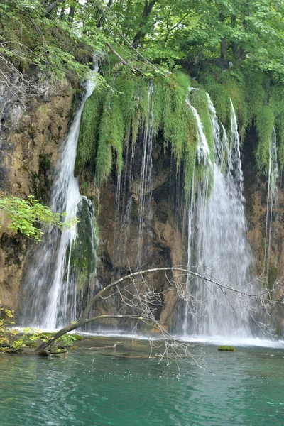 Plitvice Waterfalles Het Nationale Park Kroatië — Stockfoto