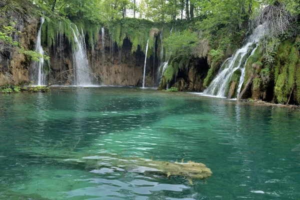 Plitvice Waterfalls Στο Εθνικο Παρκο Τησ Κροατιασ — Φωτογραφία Αρχείου