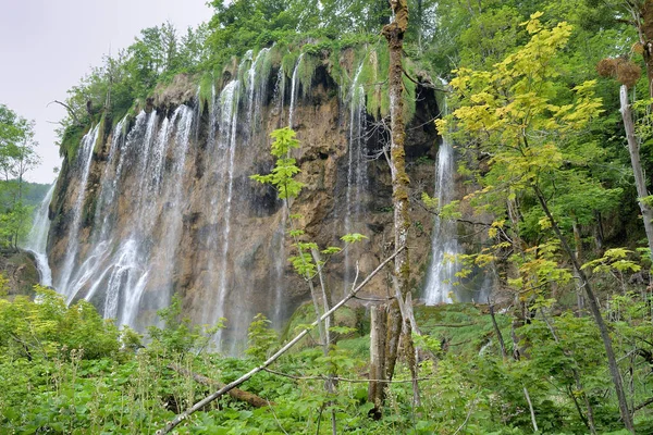 Plitvice Waterfalls Στο Εθνικο Παρκο Τησ Κροατιασ — Φωτογραφία Αρχείου
