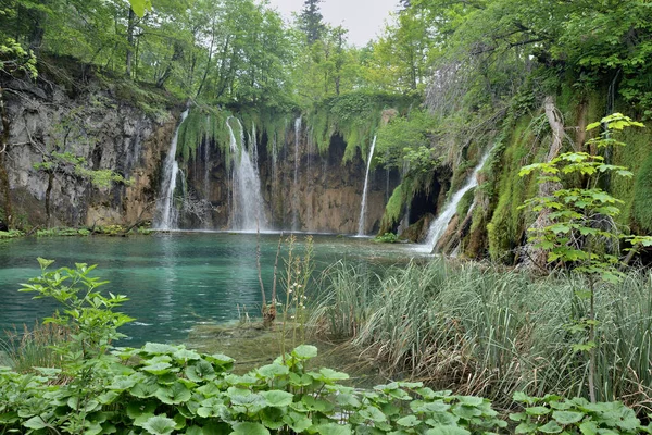 Lacs Plitvice Chutes Eau Dans Parc National Croatie — Photo