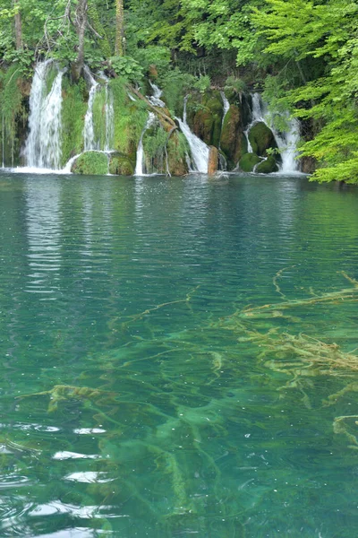 Lagos Plitvicios Aguas Parque Nacional Croacia — Foto de Stock